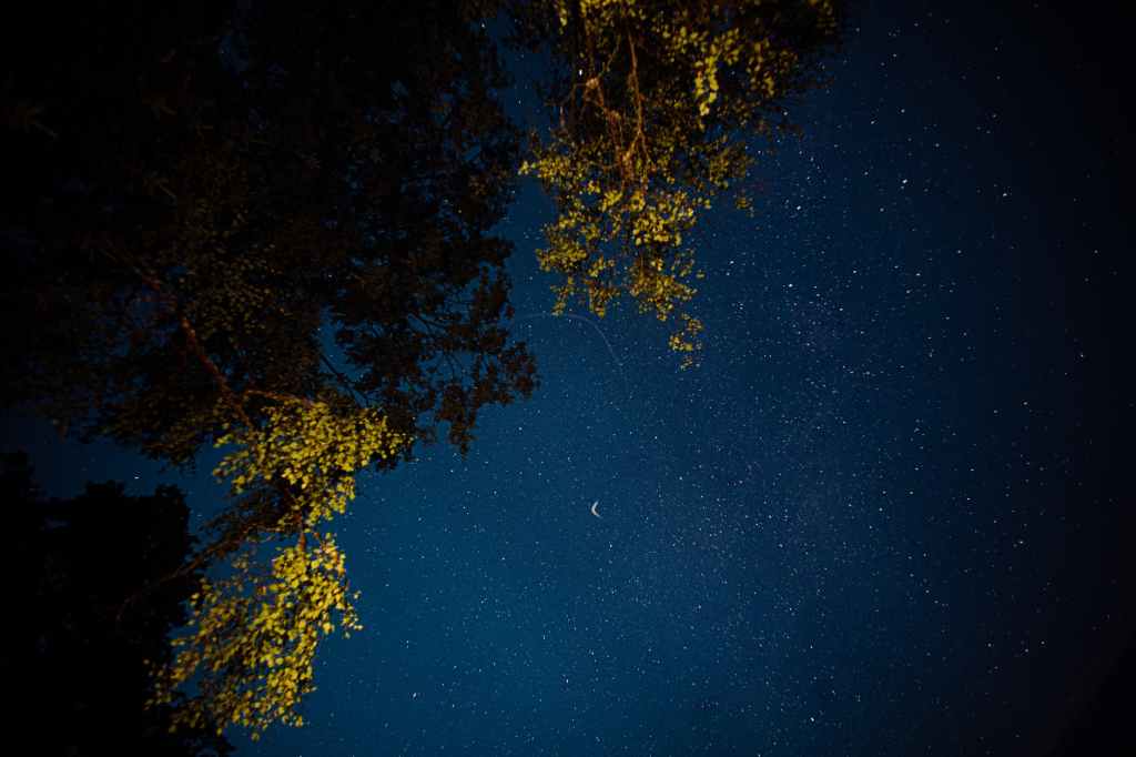 Dreaming While Sleeping