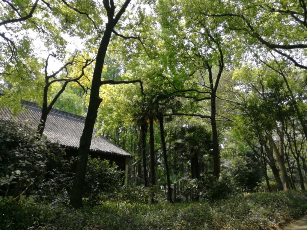 Grace Amongst Greenery