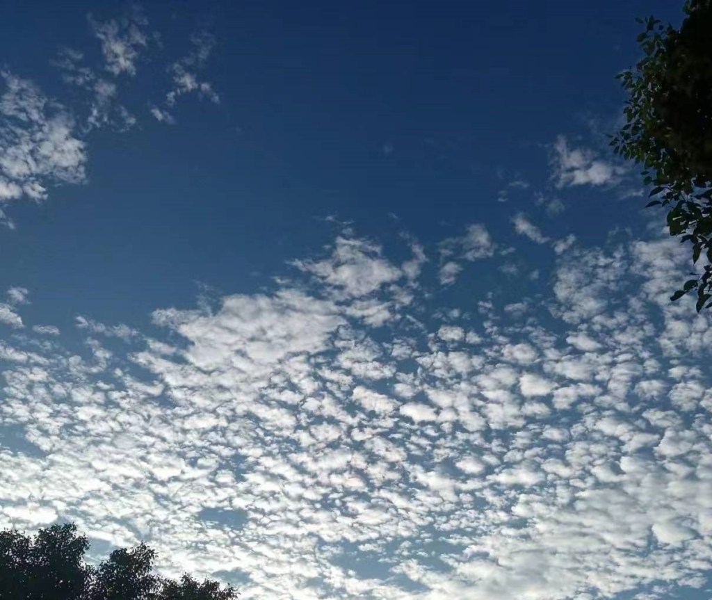 Eeriness of Humanity