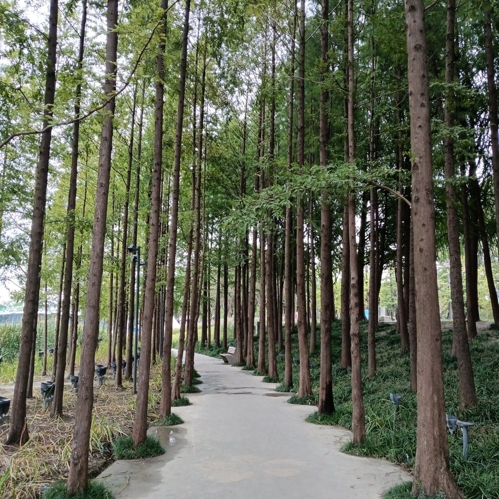 10 Years in Another&nbsp;Land