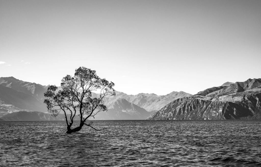 Watching Various Documentaries