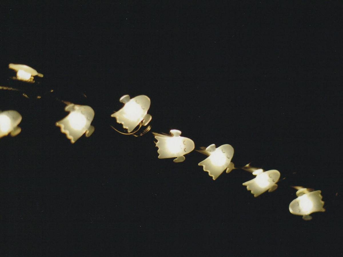 Wrath of my&nbsp;Wraith