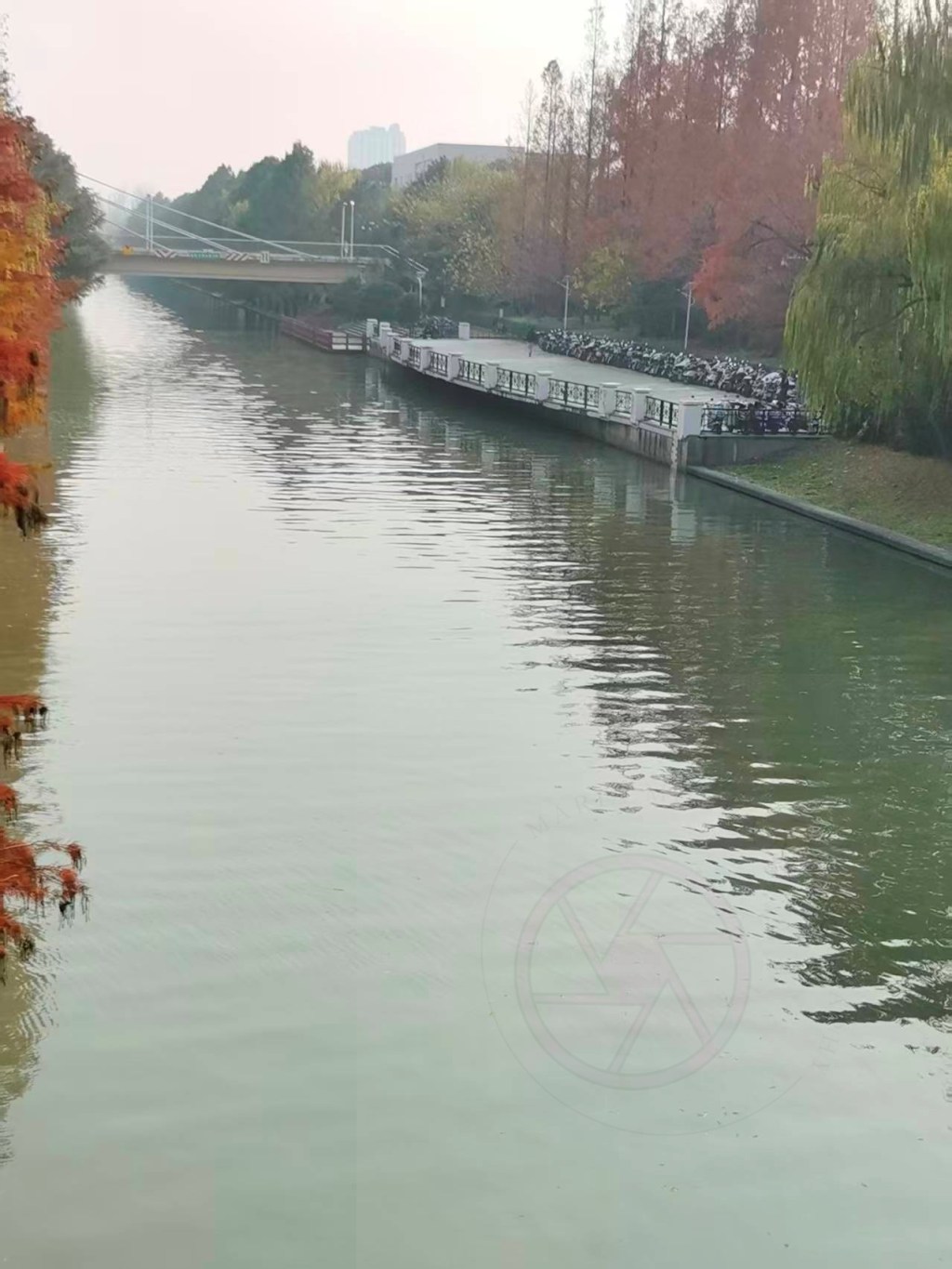 Captivating Natural Scenes to Inspire&nbsp;You